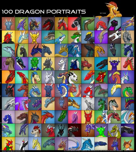 100_dragon_potraits_by_thazumi.jpg